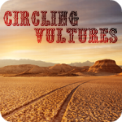 Circling Vultures (2:46)