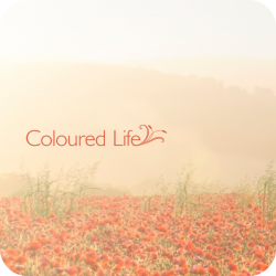 Coloured Life (3:12)