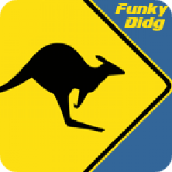 Funky Didg (3:36)