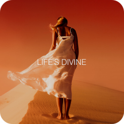 Life's Divine (3:26)