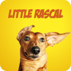 Little Rascal - 3 Versionen (2:13)