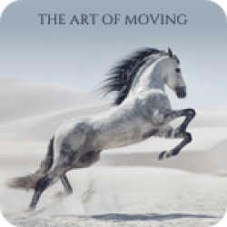 The Art Of Moving (5:11)