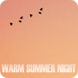Warm Summer Night