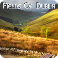 Fields Of Dublin
