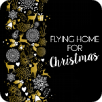 Flying Home For Christmas
