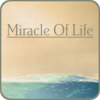 Miracle Of Life