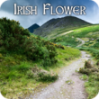 Irish Flower (3:23)