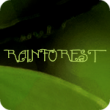 Rainforest (4:00)