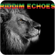 Riddim Echoes (4:32)